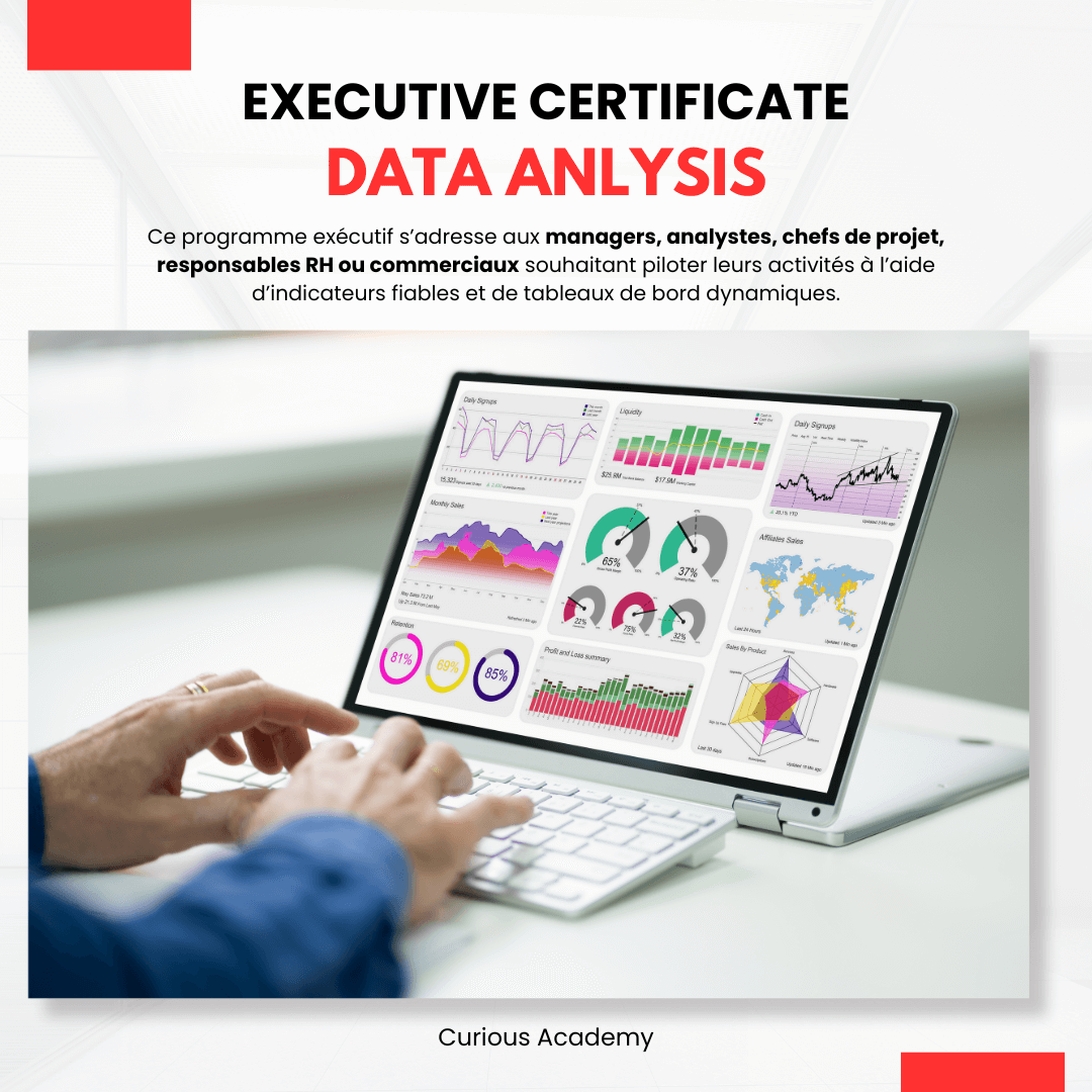 Data Analysis & Tableaux de Bord