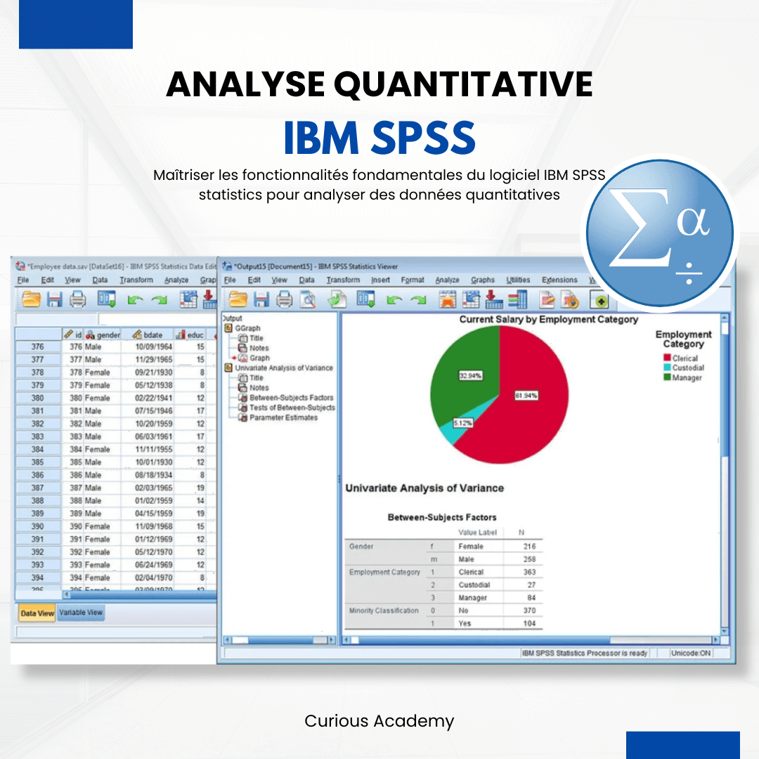 Logiciel IBM SPSS Statistics, Analyse de Données quantitatives