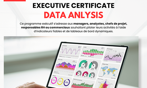 Data Analysis & Tableaux de Bord