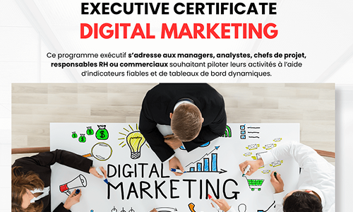 Digital Marketing, Certificat Exécutive